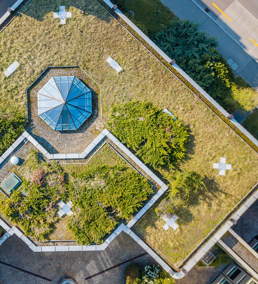 garden roof and urban heat 