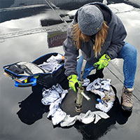 female commercial roofing technician is taking a roof core to determine the condition 